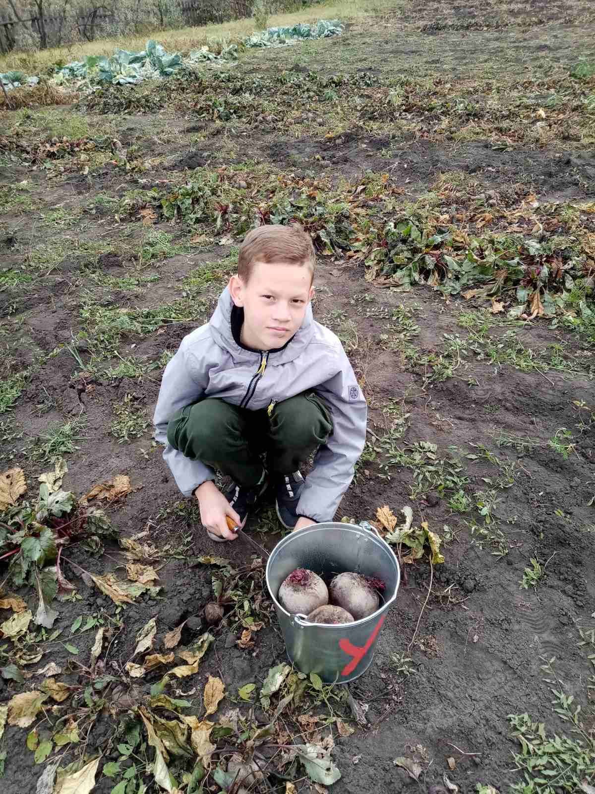 Всё правильно сделали!.